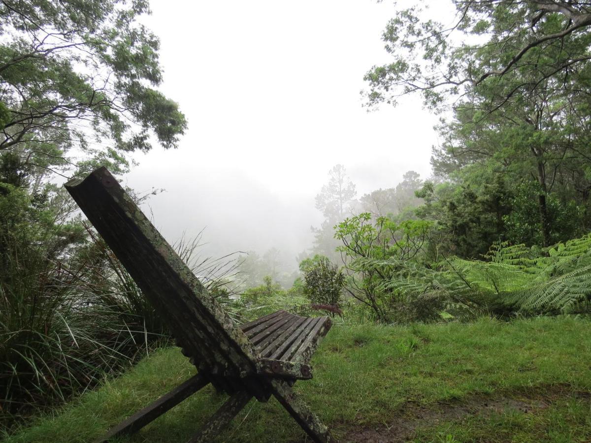 Crown Ridge Miners Cottage Karangahake Buitenkant foto
