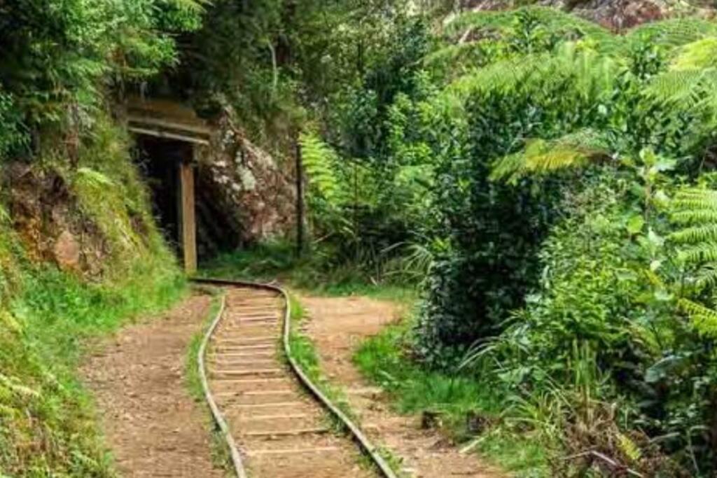 Crown Ridge Miners Cottage Karangahake Buitenkant foto