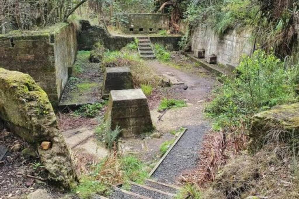 Crown Ridge Miners Cottage Karangahake Buitenkant foto