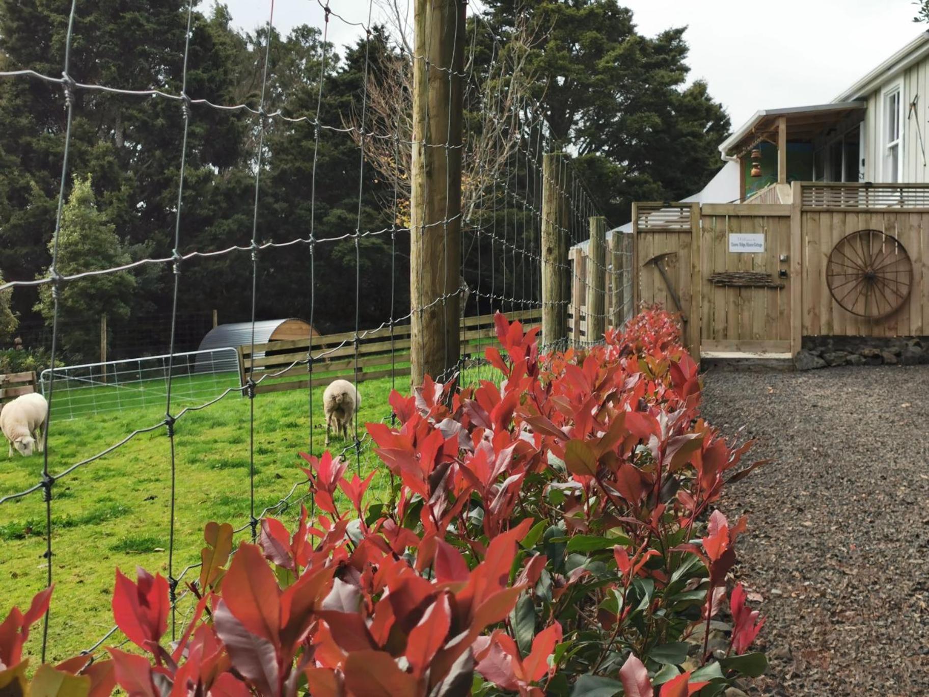 Crown Ridge Miners Cottage Karangahake Buitenkant foto