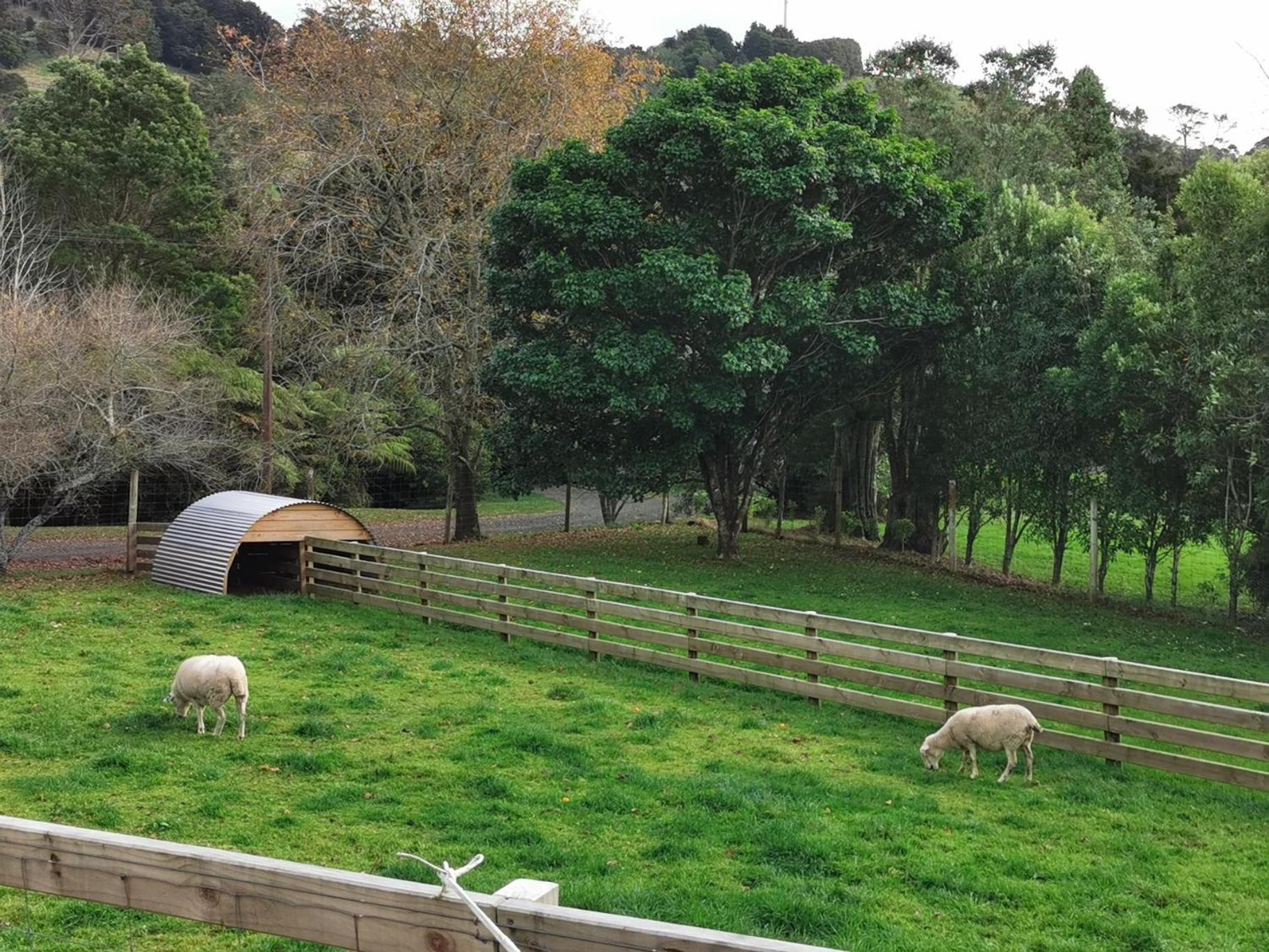 Crown Ridge Miners Cottage Karangahake Buitenkant foto